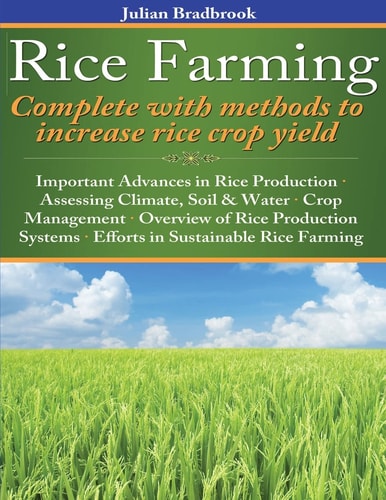 Rice Farming Complete with Methods to Increase Rice Crop Yield