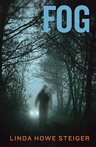 Fog A Morgan Kendall Mystery