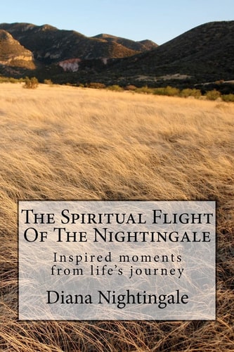 The Spiritual Flight Of The Nightingale Book of Stories Teaching Lessons on Life