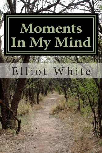 Moments In My Mind I Have Awoke