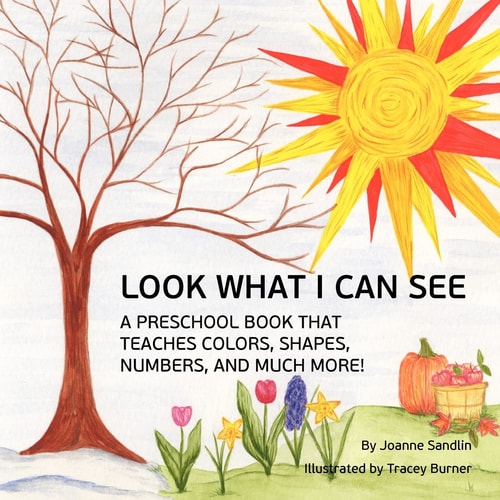 Look What I Can See A Preschool Book That Teaches Colors, Shapes, Numbers, and Much More!