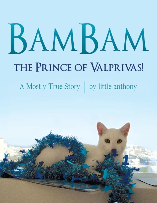 BamBam, the Prince of Valprivas!: A Mostly True Story