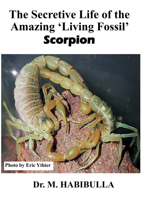 The Secretive Life of the Amazing Living Fossil Scorpion