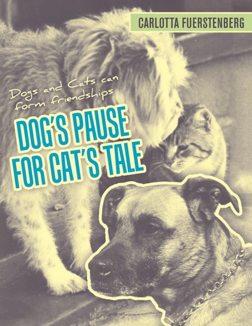 Dogs Pause for Cats Tale: Dogs and Cats can form friendships