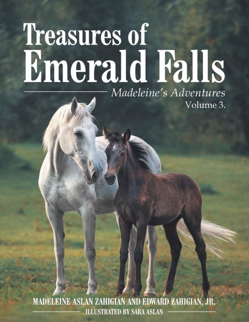 Treasures of Emerald Falls: Madeleines  Adventures - Volume 3.