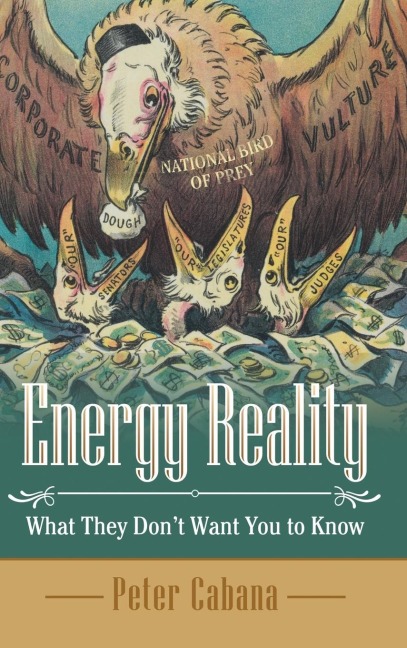 Energy Reality: What They DonT Want You to Know