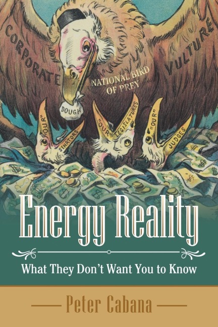 Energy Reality: What They DonT Want You to Know