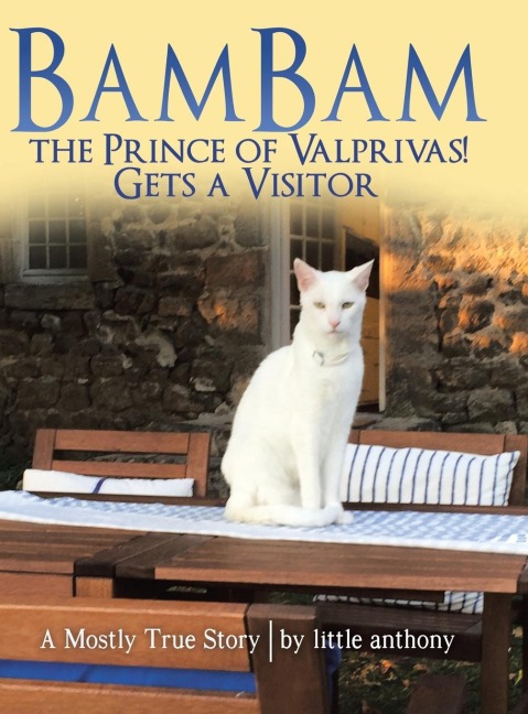 BamBam the Prince of Valprivas! Gets a Visitor: A Mostly True Story