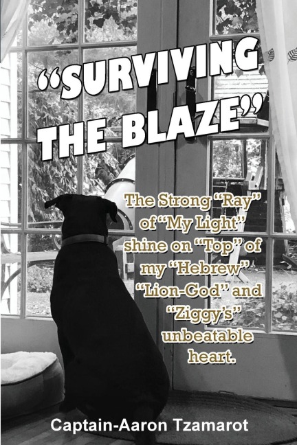 Surviving the Blaze: The Strong Ray of My Light shine on Top of my Hebrew Lion-God and Ziggys unbeatable heart.