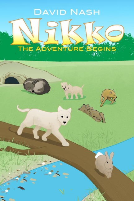 Nikko: The Adventure Begins