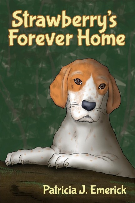 Strawberrys Forever Home