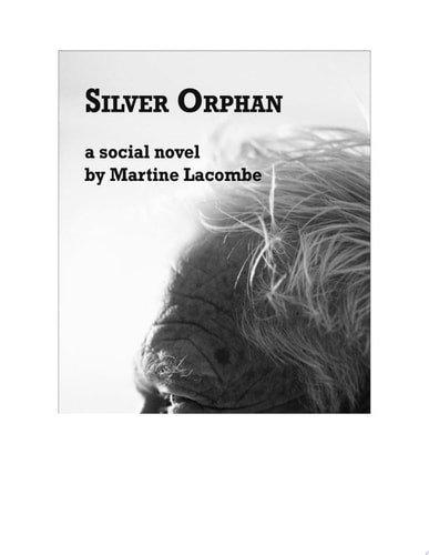 Silver Orphan