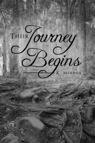 Their Journey Begins