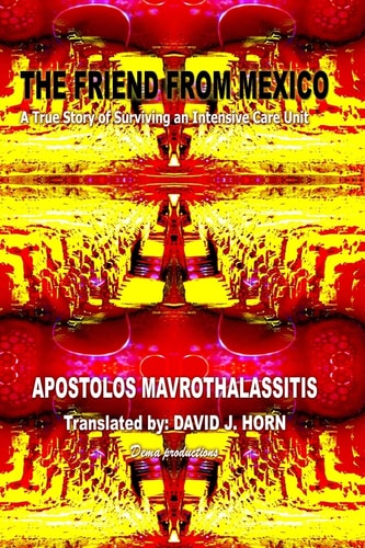 The Friend From Mexico A True Story of Surviving an Intensive Care Unit