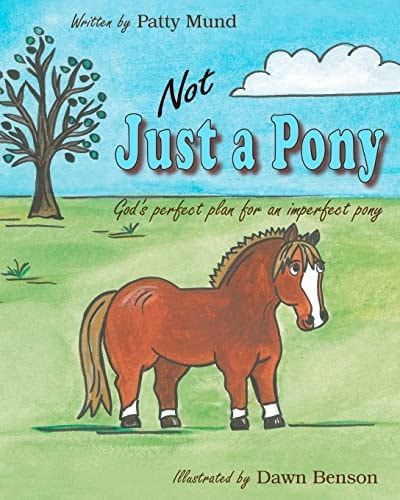 Not Just a Pony God's Perfect Plan for an Imperfect Pony