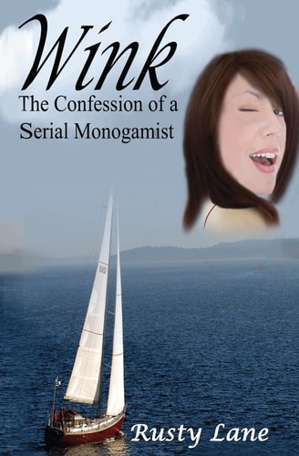 Wink The Confession of a Serial Monogamist