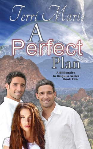 A Perfect Plan A Billionaire in Disguise, Book 2
