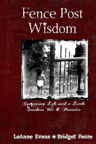 Fence Post Wisdom Conquering Life with a Little Southern Wit and Patience