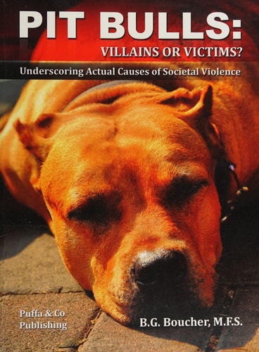 Pit Bulls Villains Or Victims?