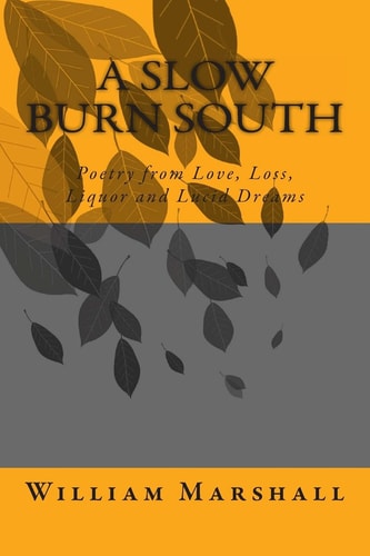 A Slow Burn South Poetry from Love, Loss, Liquor and Lucid Dreams