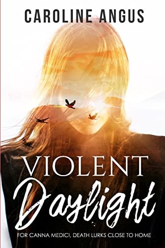 Violent Daylight The Sequel to 'Night Wants to Forget'