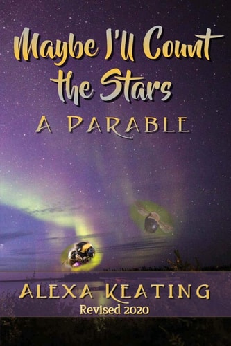 Maybe I'll Count the Stars A Parable