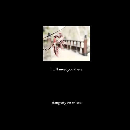I Will Meet You There Photography of Sherri Lasko