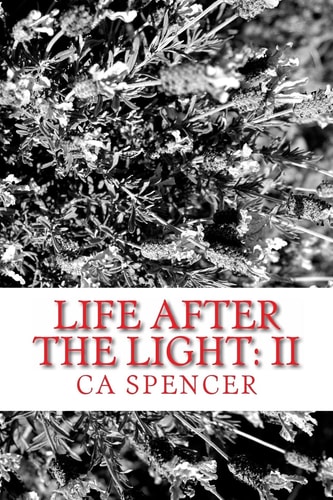 Life After The Light II