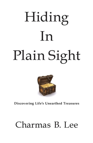 Hiding In Plain Sight