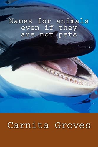 Names for Animals Even If They Are Not Pets