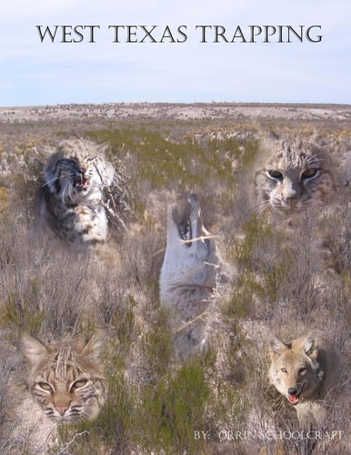 West Texas Trapping A Collection Of Notes, Stories, Advice, And Tips From Trapping The Openness Of The Eastern Edge Of The Delaware Basin Of West Texas