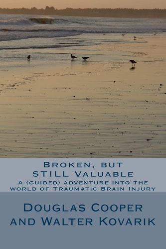 Broken, But STILL Valuable An (guided) Adventure Into the World of TBI