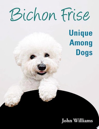 Bichon Frise Unique Among Dogs