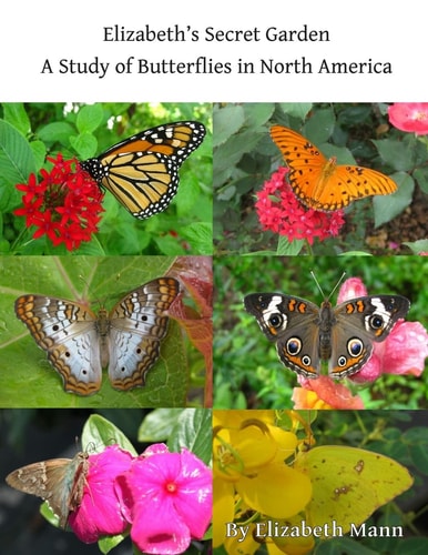 Elizabeth's Secret Garden A Study of Butterflies in North America - 2nd Edition