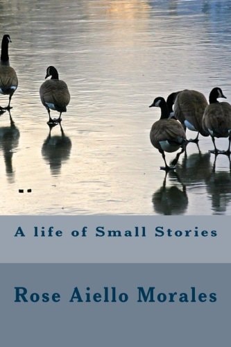 A Life of Small Stories