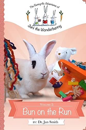 Bun on the Run The Bunnyrific Adventures of Juni the Wonderbunny