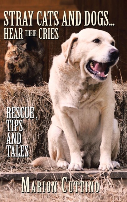 Stray Cats and Dogs...Hear Their Cries: Rescue, Tips and Tales