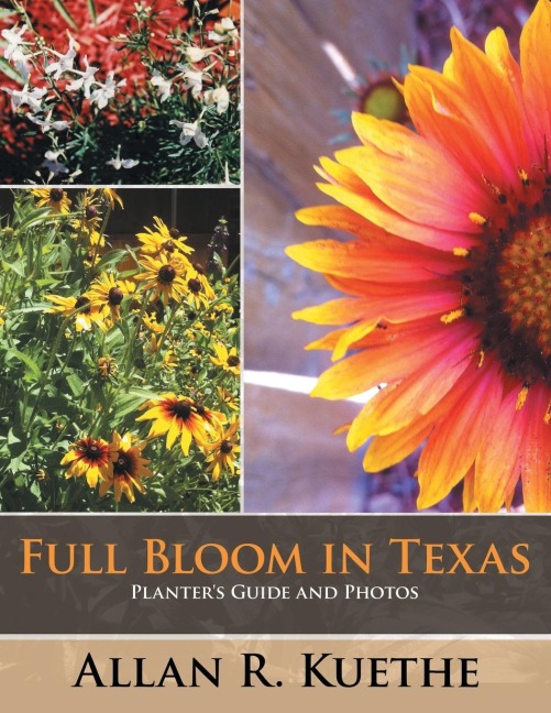 Full Bloom in Texas: Planters Guide and Photos