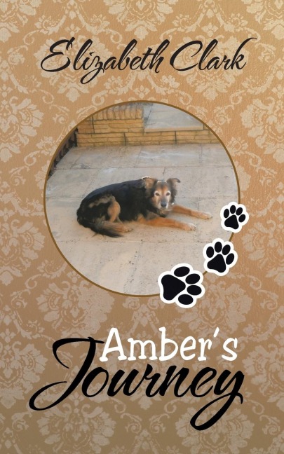 Ambers Journey