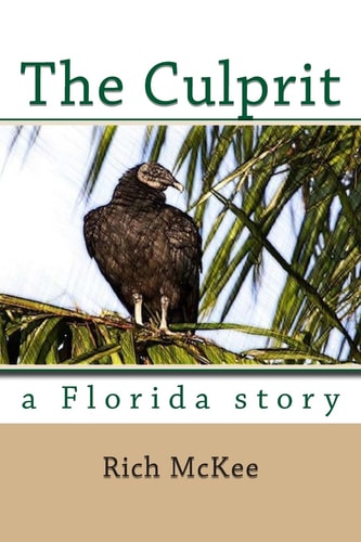 The Culprit A Florida Story