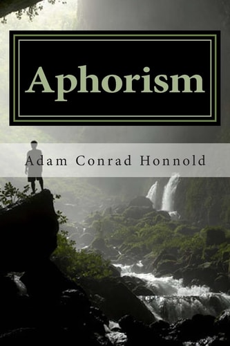 Aphorism The Cave and the Code