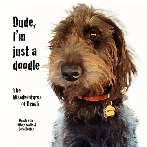 Dude, I'm Just a Doodle The Misadventures of Denali