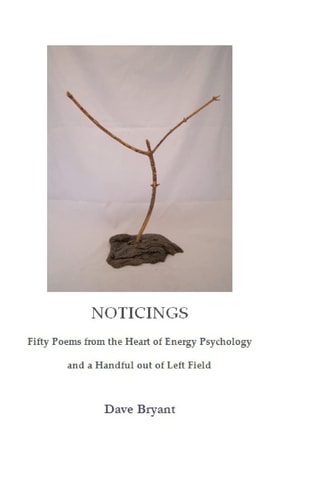 Noticings : Fifty Poems from the Heart of Energy Psychology and a Handful Out of Left Field