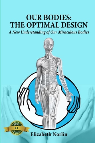 Our Bodies The Optimal Design: A New Understanding of Our Miraculous Bodies