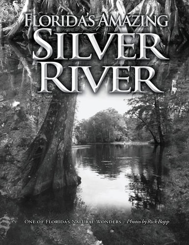 Florida's Amazing Silver River One of Florida's Natural Wonders