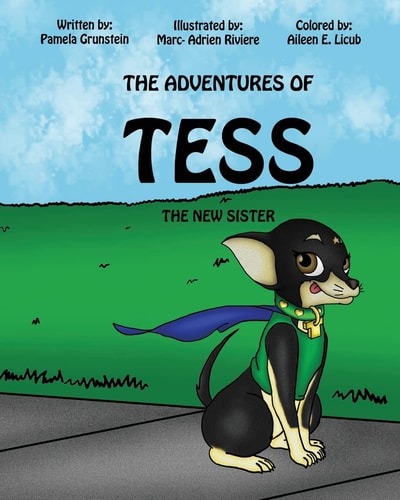 The Adventures of Tess The New Sister