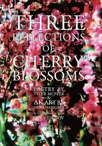 Three Reflections of Cherry Blossoms