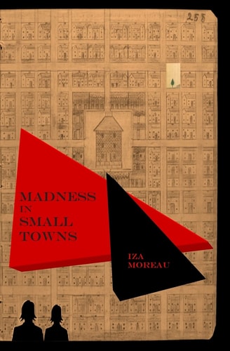 Madness in Small Towns (Small Town Series, Number 2)