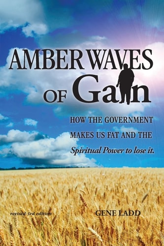 Amber Waves of Gain How the Government Makes Us Fat, and the Spiritual Power to Lose It
