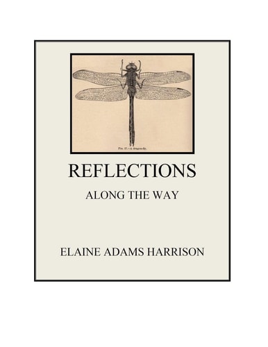 Reflections Along the Way